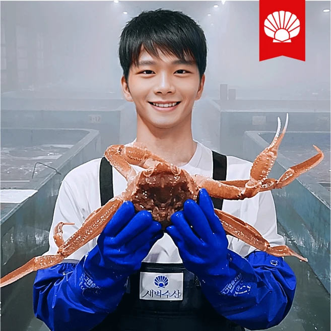 대게