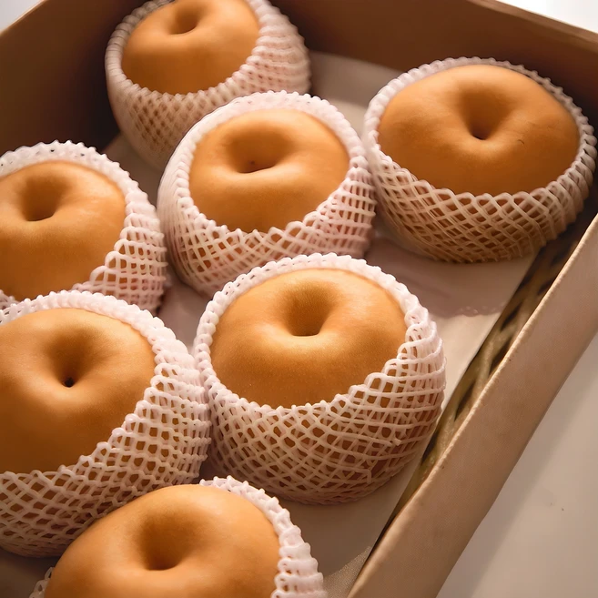 배