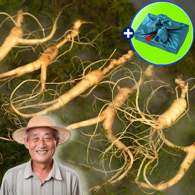 산양삼