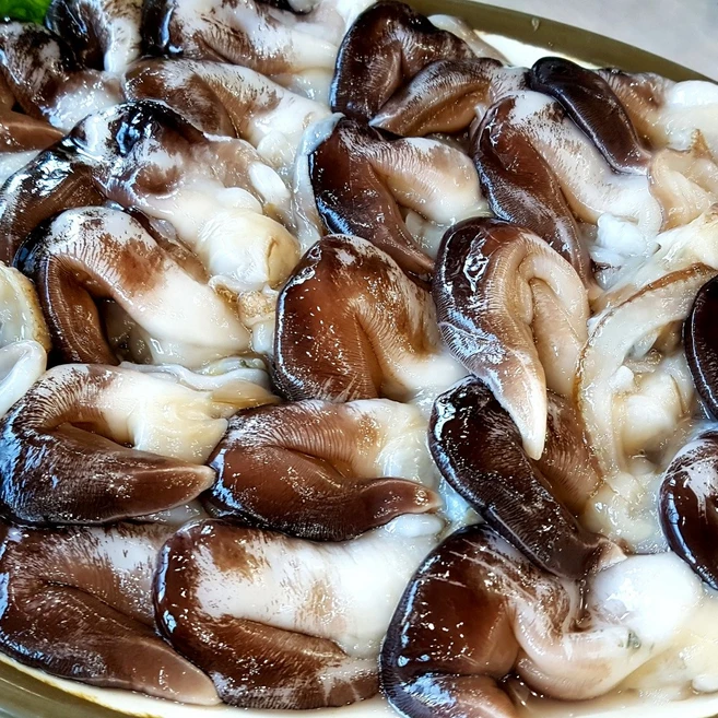새조개