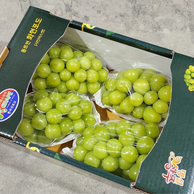 샤인머스켓