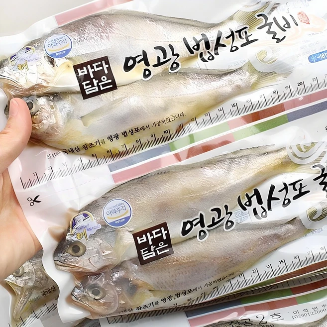 영광굴비