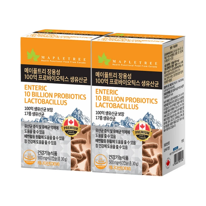 장용성유산균