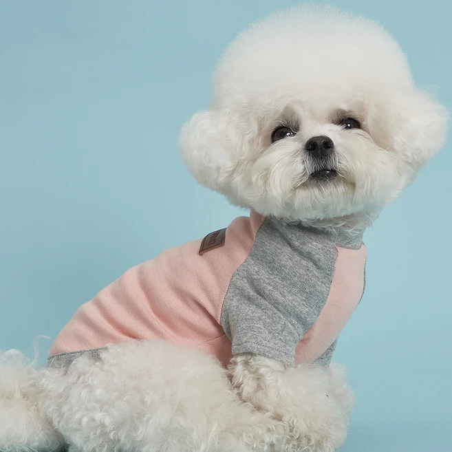 강아지실내복
