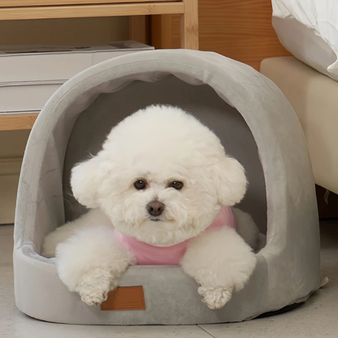 강아지집