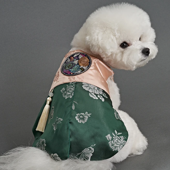 강아지한복