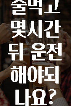술먹고 몇시간뒤 운전해야되나요?