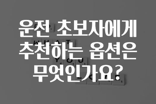 운전 초보자에게 추천하는 옵션은 무엇인가요?