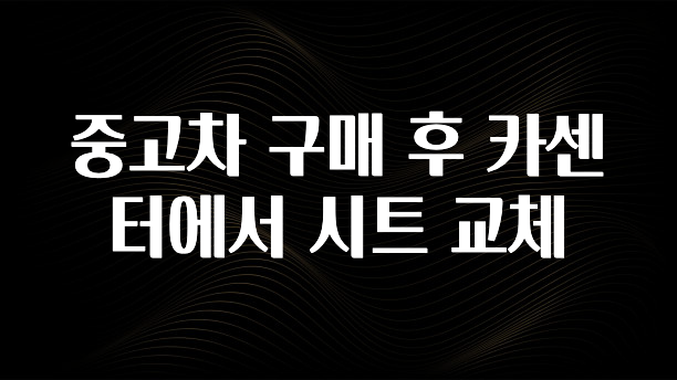 중고차 구매 후 카센터에서 시트 교체