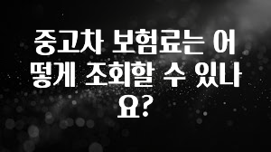중고차 보험료는 어떻게 조회할 수 있나요?