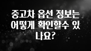 중고차 옵션 정보는 어떻게 확인할수 있나요?