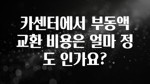 카센터에서 부동액 교환 비용은 얼마 정도 인가요?