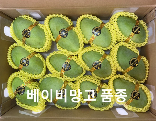 망고
