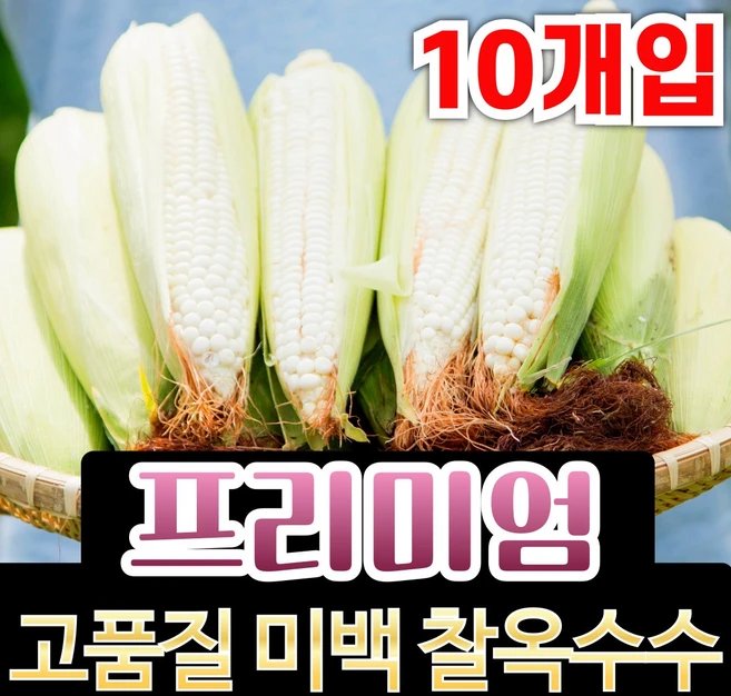 초당옥수수